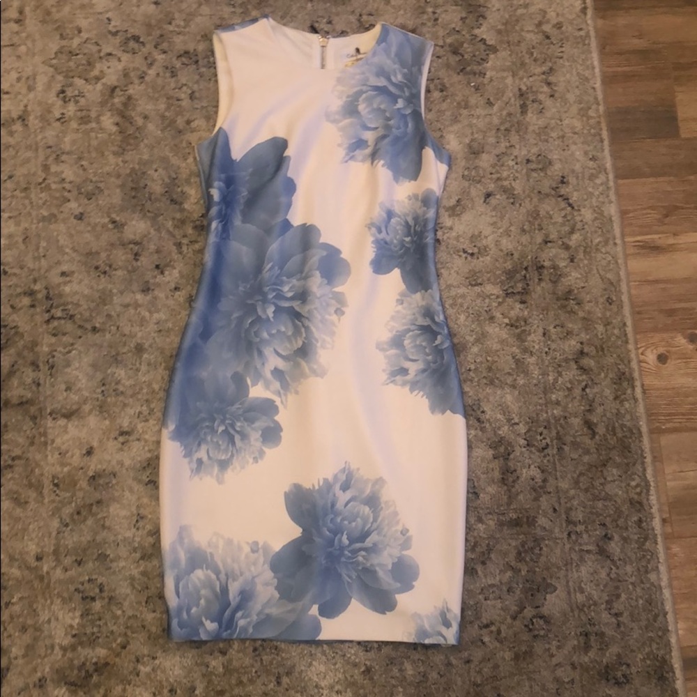 Calvin Klein Blue and White Floral Dress